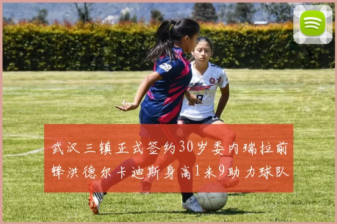 武汉三镇正式签约30岁委内瑞拉前锋洪德尔卡迪斯身高1米9助力球队新赛季